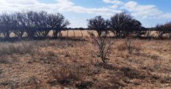 Cod- 121 – 8 Hectáreas de terreno para cultivo a solo 24 km. de Cura Brochero.