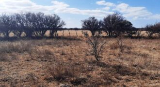Cod- 121 – 8 Hectáreas de terreno para cultivo a solo 24 km. de Cura Brochero.