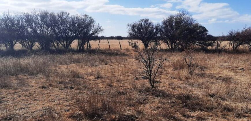 Cod- 121 – 8 Hectáreas de terreno para cultivo a solo 24 km. de Cura Brochero.