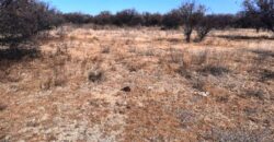 Cod- 121 – 8 Hectáreas de terreno para cultivo a solo 24 km. de Cura Brochero.