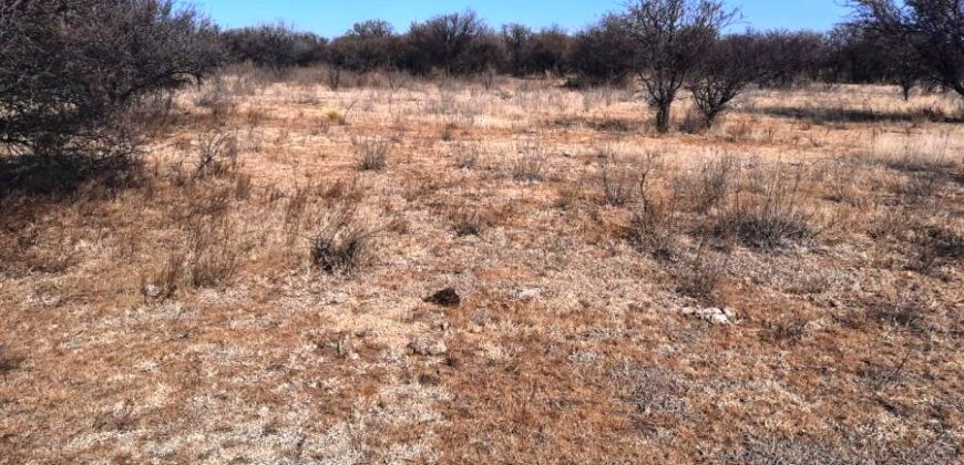 Cod- 121 – 8 Hectáreas de terreno para cultivo a solo 24 km. de Cura Brochero.