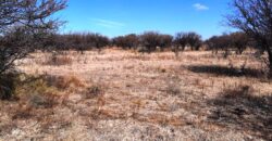 Cod- 121 – 8 Hectáreas de terreno para cultivo a solo 24 km. de Cura Brochero.