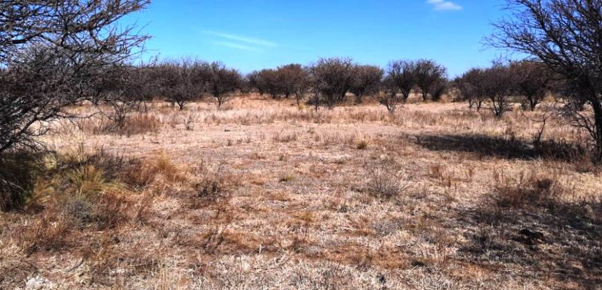 Cod- 121 – 8 Hectáreas de terreno para cultivo a solo 24 km. de Cura Brochero.