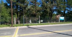 Cod 122. Tres lotes de terreno de 550 m2 a 100 metros del Río Panaholma en V. C Brochero.