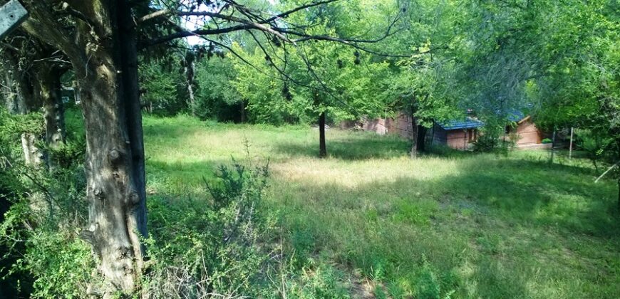 Cod 122. Tres lotes de terreno de 550 m2 a 100 metros del Río Panaholma en V. C Brochero.