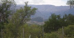 Cod.124 – Once Hectáreas con posibilidad de loteo