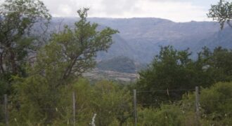 Cod.124 – Once Hectáreas con posibilidad de loteo