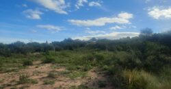 Cod 117- Terreno de 4500 metros cuadrados en San Lorenzo, Cba.-  