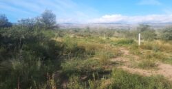 Cod 117- Terreno de 4500 metros cuadrados en San Lorenzo, Cba.-  