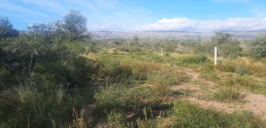 Cod 117- Terreno de 4500 metros cuadrados en San Lorenzo, Cba.-  