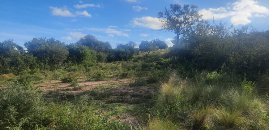 Cod 117- Terreno de 4500 metros cuadrados en San Lorenzo, Cba.-  