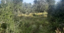 Cod 117- Terreno de 4500 metros cuadrados en San Lorenzo, Cba.-  