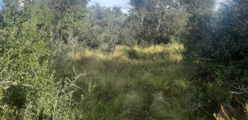 Cod 117- Terreno de 4500 metros cuadrados en San Lorenzo, Cba.-  