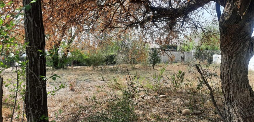Cod- 77 –  900 m2 de terreno en Mina Clavero.