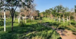 Cod- 114 – 1.5 hectáreas con mejoras, costa de Río  y excelente ubicación en Villa C. Brochero