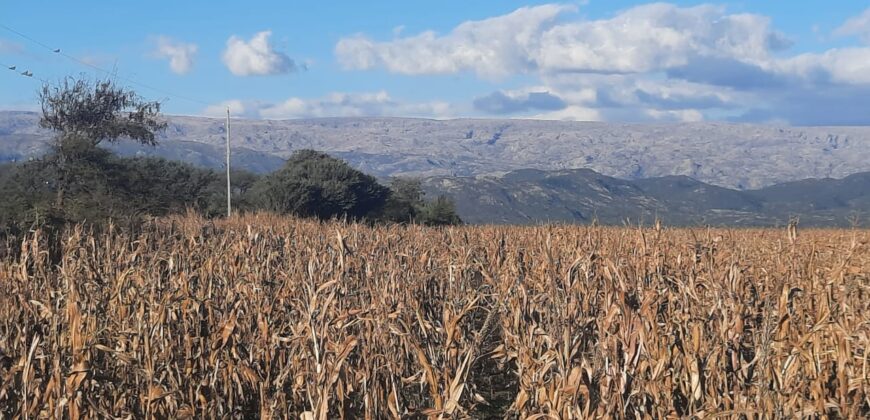 Cod- 100 – 12 Hectáreas agrícolas a 17 km. de Cura Brochero.