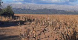 Cod- 100 – 12 Hectáreas agrícolas a 17 km. de Cura Brochero.