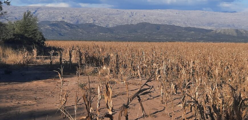 Cod- 100 – 12 Hectáreas agrícolas a 17 km. de Cura Brochero.
