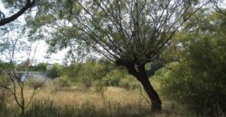 Cod 33  Lote de 1900 mt2 sobre Av. Marcos López, San Lorenzo.