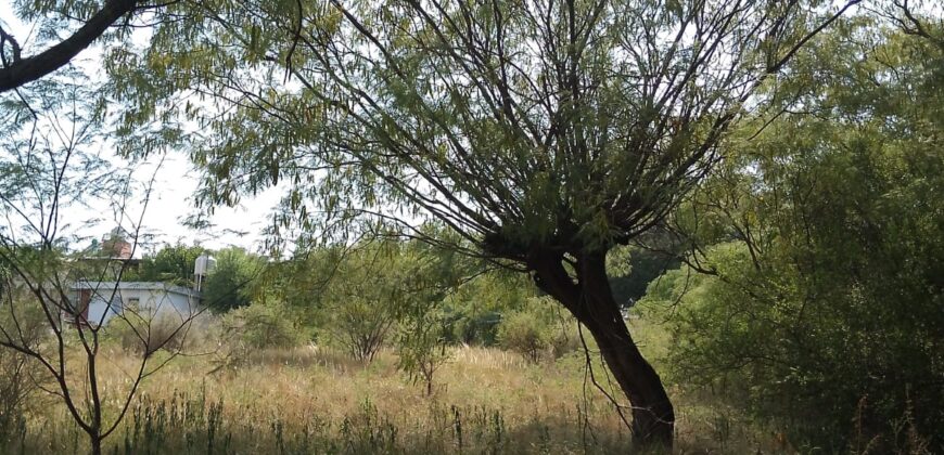 Cod 33  Lote de 1900 mt2 sobre Av. Marcos López, San Lorenzo.