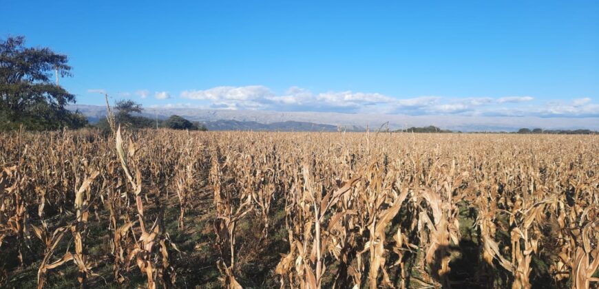 Cod- 100 – 12 Hectáreas agrícolas a 17 km. de Cura Brochero.