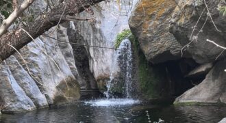 COD 103- CAMPO 1450 HECTÁREAS CON AGUA GANADERO-TURÍSTICAS PANAHOLMA