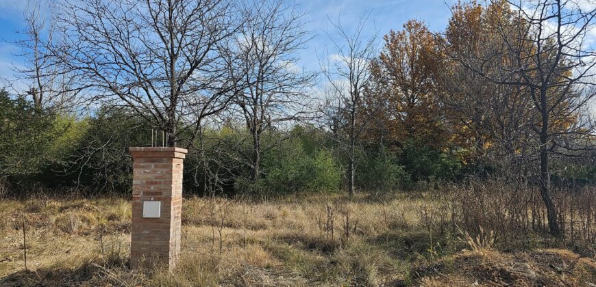COD 104 – LOTE EXLUSIVO EN CALLE PRIVADA, B° VILLA LUJÁN, MINA CLAVERO.