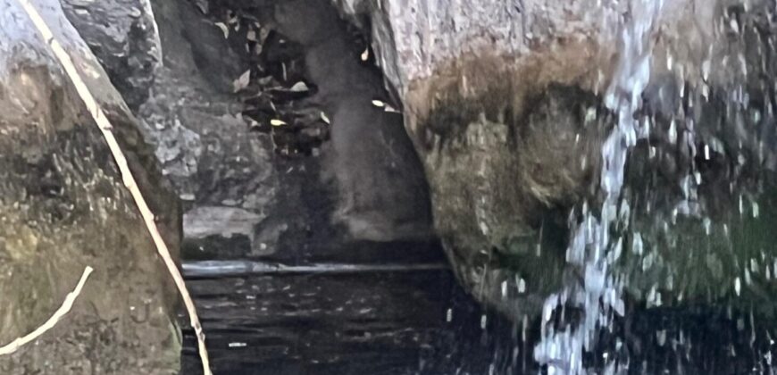 COD 103- CAMPO 1450 HECTÁREAS CON AGUA GANADERO-TURÍSTICAS PANAHOLMA