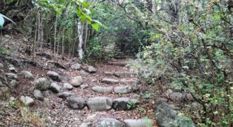 Cod- 74 -. Terreno sobre la Ruta y con costa de Río en Nono, Inmejorable inversión.