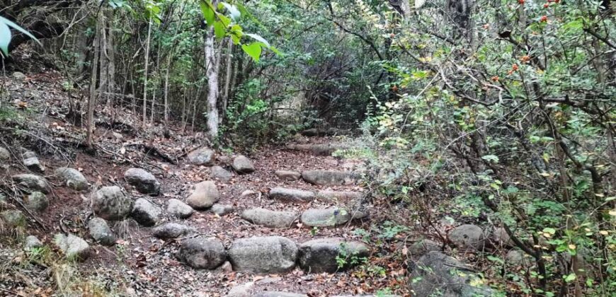 Cod- 74 -. Terreno sobre la Ruta y con costa de Río en Nono, Inmejorable inversión.