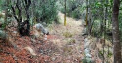 Cod- 74 -. Terreno sobre la Ruta y con costa de Río en Nono, Inmejorable inversión.