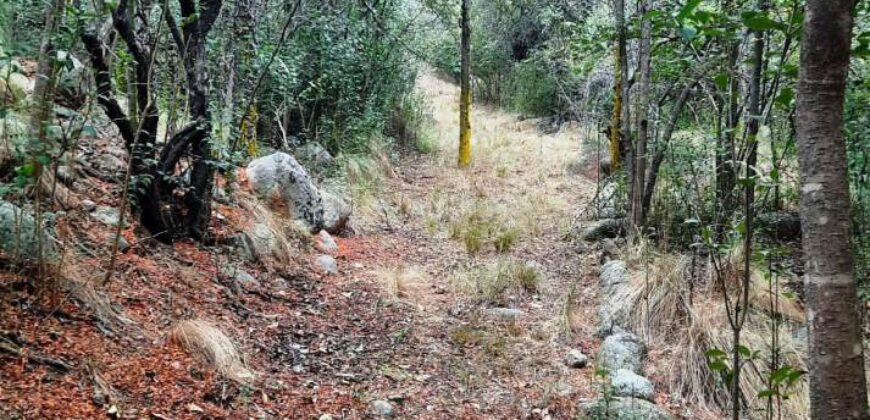 Cod- 74 -. Terreno sobre la Ruta y con costa de Río en Nono, Inmejorable inversión.